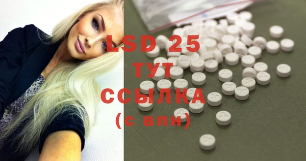 прущие грибы Магас