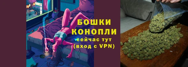 стаф Магадан
