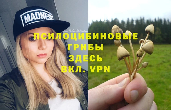 эйфоретик Мегион