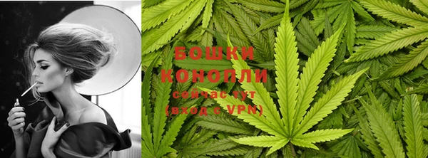 стаф Магадан