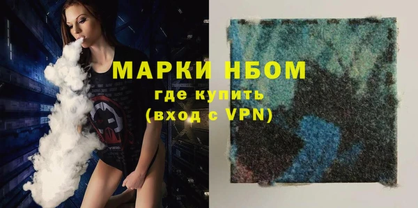 прущие грибы Магас