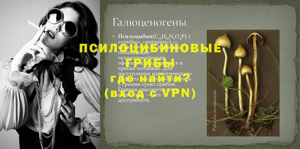 прущие грибы Магас