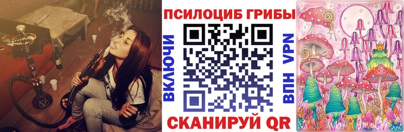 Галлюциногенные грибы Psilocybine cubensis Купить Злынка